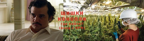 ECSTASY Белокуриха