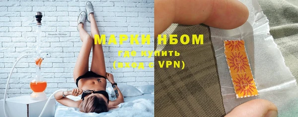 ECSTASY Белокуриха