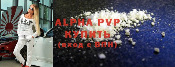 ECSTASY Белокуриха