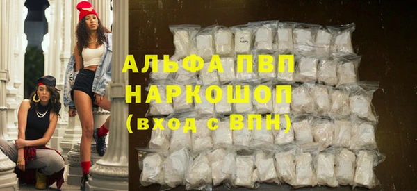 ECSTASY Белокуриха