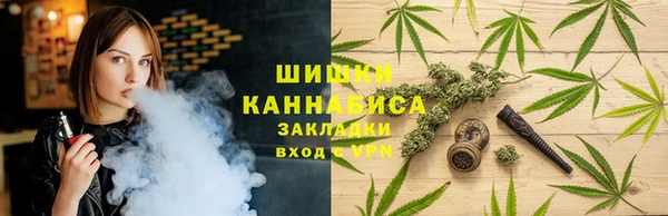 ECSTASY Белокуриха